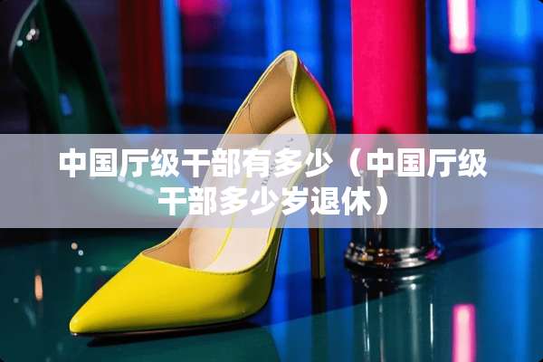 中国厅级干部有多少（中国厅级干部多少岁退休）