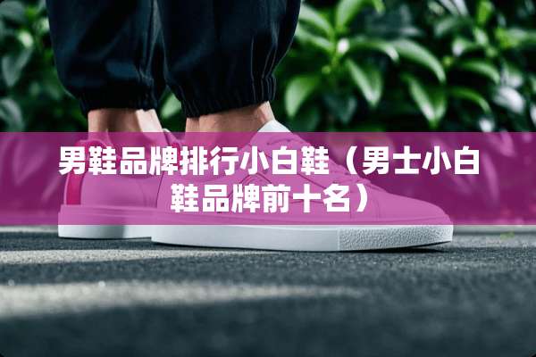男鞋品牌排行小白鞋（男士小白鞋品牌前十名）