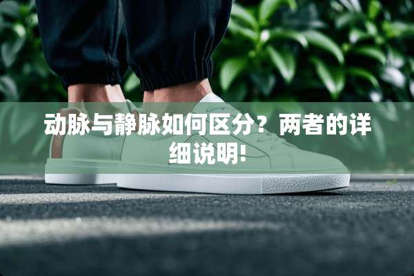 动脉与静脉如何区分？两者的详细说明!