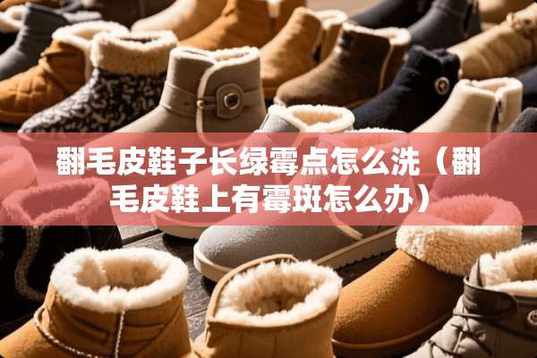 翻毛皮鞋子长绿霉点怎么洗（翻毛皮鞋上有霉斑怎么办）