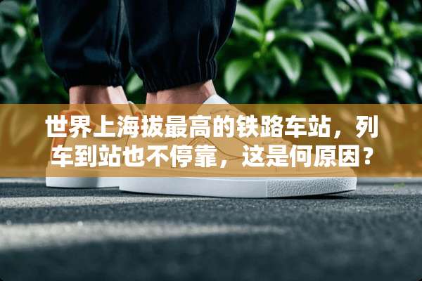 世界上海拔最高的铁路车站，列车到站也不停靠，这是何原因？