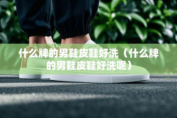 什么牌的男鞋皮鞋好洗（什么牌的男鞋皮鞋好洗呢）