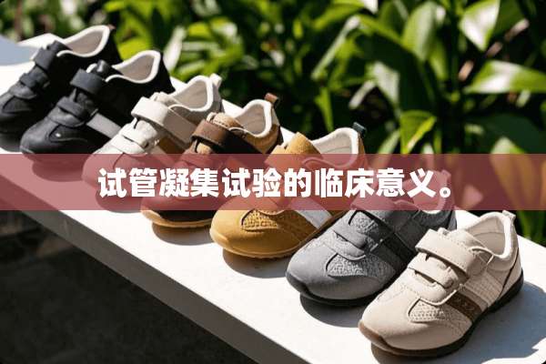试管凝集试验的临床意义。