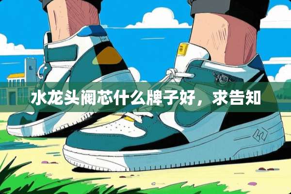 水龙头阀芯什么牌子好，求告知