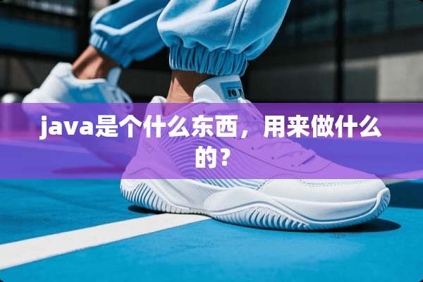 java是个什么东西，用来做什么的？