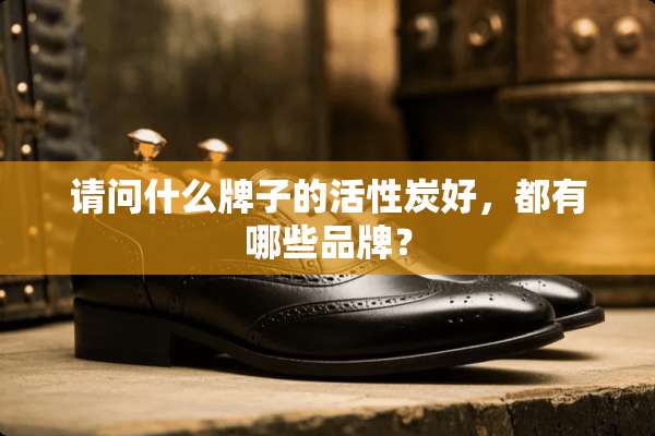请问什么牌子的活性炭好，都有哪些品牌？