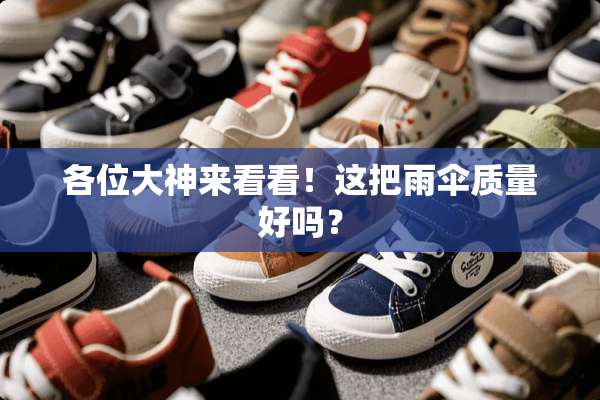 各位大神来看看！这把雨伞质量好吗？