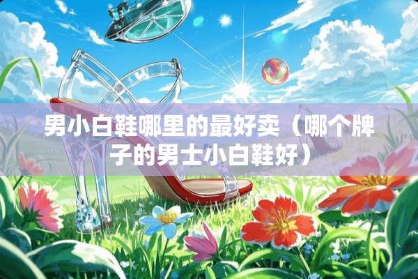 男小白鞋哪里的最好卖（哪个牌子的男士小白鞋好）
