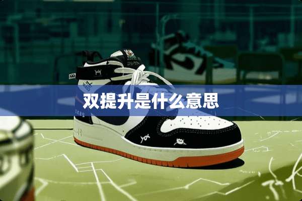 双提升是什么意思
