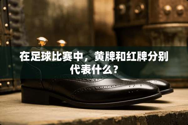 在**比赛中，黄牌和红牌分别代表什么？