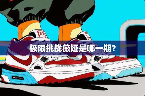 极限挑战薇娅是哪一期？