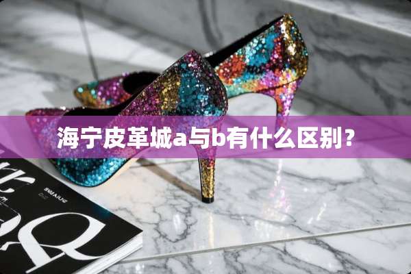 海宁皮革城a与b有什么区别？