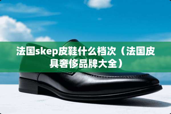 法国skep皮鞋什么档次（法国皮具奢侈品牌大全）