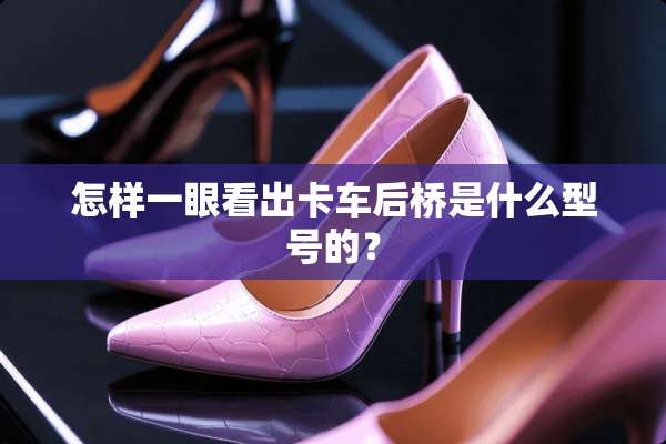 怎样一眼看出卡车后桥是什么型号的？