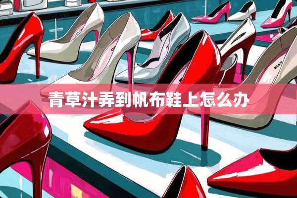 青草汁弄到帆布鞋上怎么办