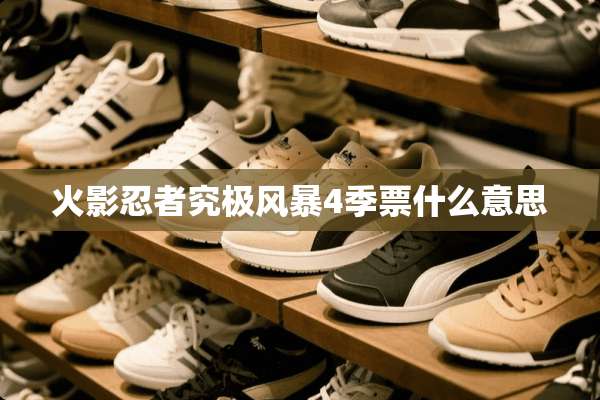 火影忍者究极风暴4季票什么意思
