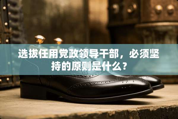 选拔任用*政领导干部，必须坚持的原则是什么？