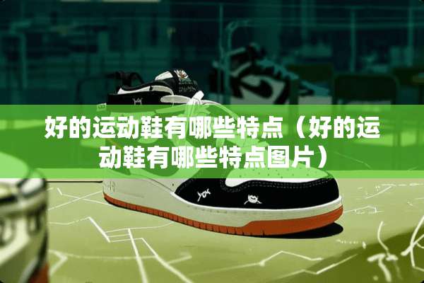 好的运动鞋有哪些特点（好的运动鞋有哪些特点图片）