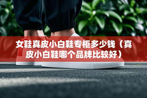 女鞋真皮小白鞋专柜多少钱（真皮小白鞋哪个品牌比较好）