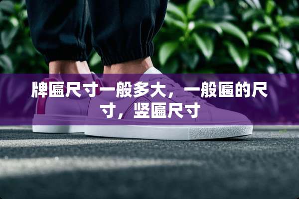 牌匾尺寸一般多大，一般匾的尺寸，竖匾尺寸