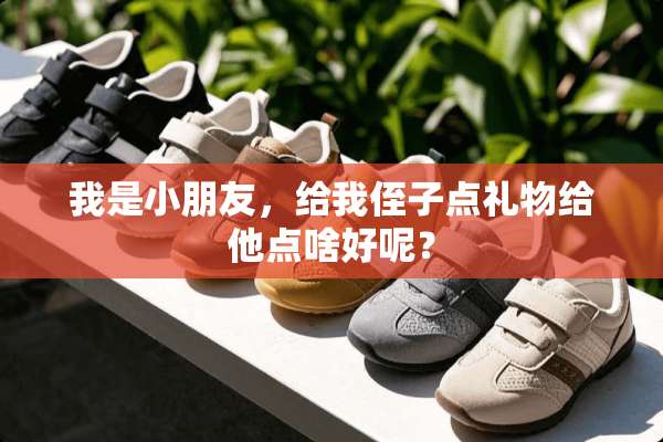 我是小朋友，给我侄子点礼物给他点啥好呢？