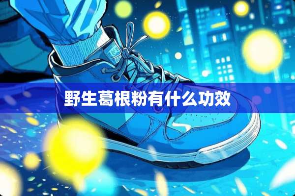 野生葛根粉有什么功效