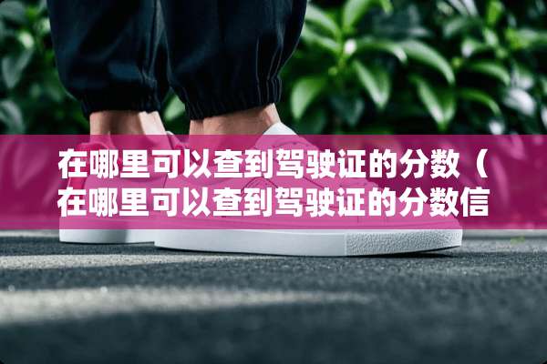 在哪里可以查到***的分数（在哪里可以查到***的分数信息）