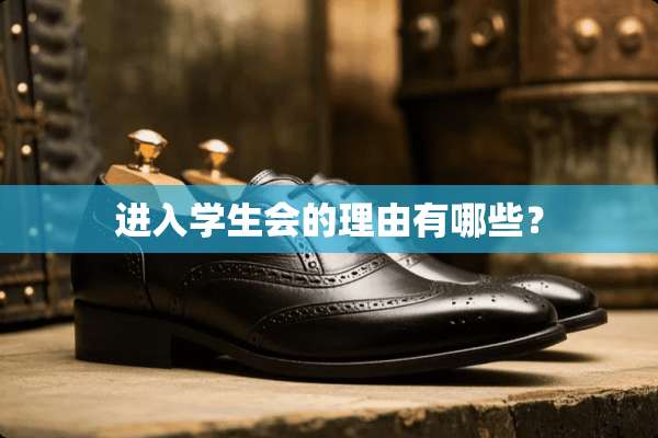 进入学生会的理由有哪些？