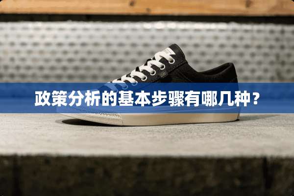 政策分析的基本步骤有哪几种？