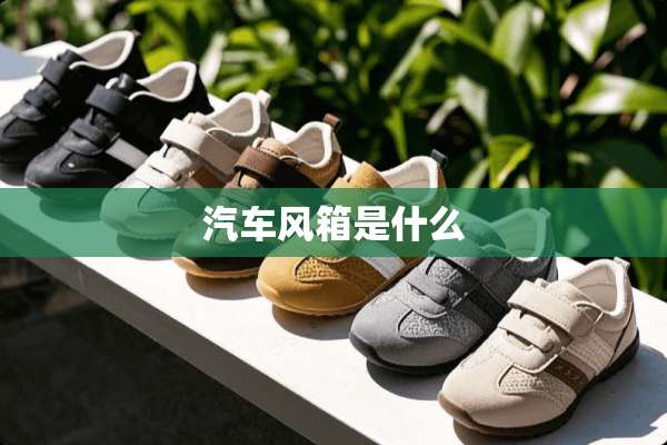汽车风箱是什么