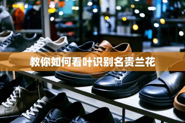 教你如何看叶识别名贵兰花
