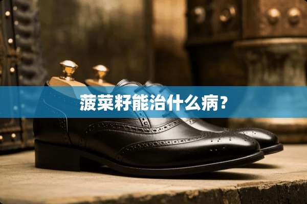 菠菜籽能治什么病？