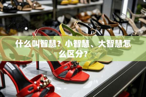 什么叫智慧？小智慧、大智慧怎么区分？