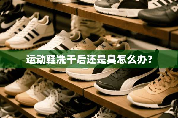 运动鞋冼干后还是臭怎么办？