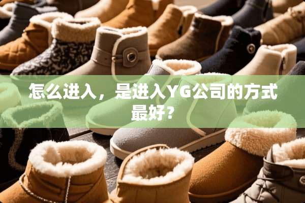 怎么进入，是进入YG公司的方式最好？