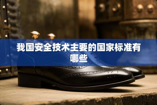 我国安全技术主要的国家标准有哪些