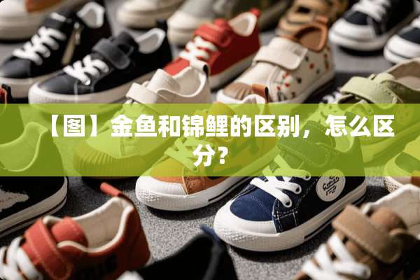 【图】金鱼和锦鲤的区别，怎么区分？
