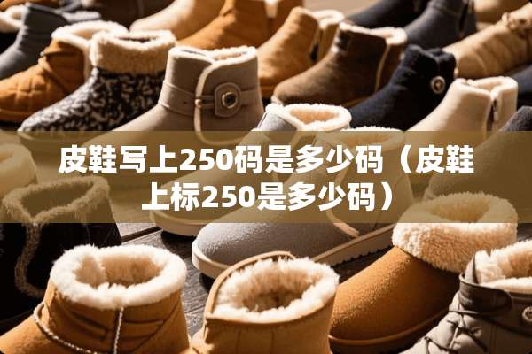 皮鞋写上250码是多少码（皮鞋上标250是多少码）