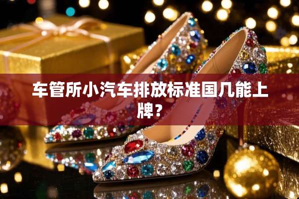 车管所小汽车排放标准国几能上牌？