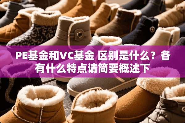 PE基金和VC基金 区别是什么？各有什么特点请简要概述下