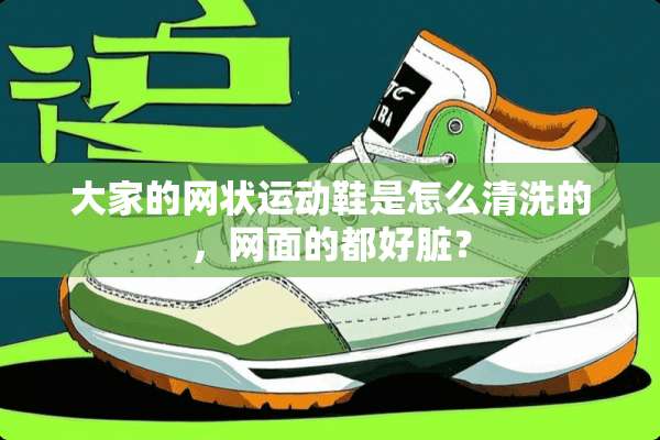 大家的网状运动鞋是怎么清洗的，网面的都好脏？