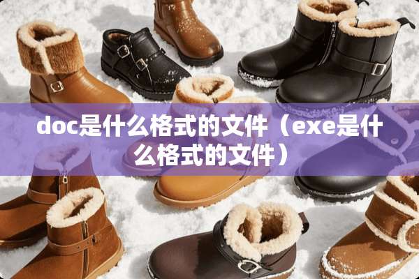 doc是什么格式的文件（exe是什么格式的文件）