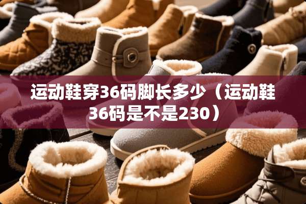 运动鞋穿36码脚长多少（运动鞋36码是不是230）