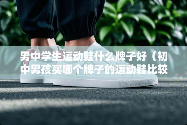 男中学生运动鞋什么牌子好（初中男孩买哪个牌子的运动鞋比较好）