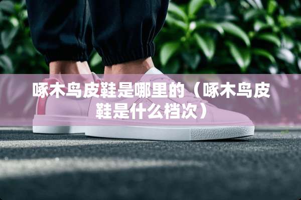 啄木鸟皮鞋是哪里的（啄木鸟皮鞋是什么档次）