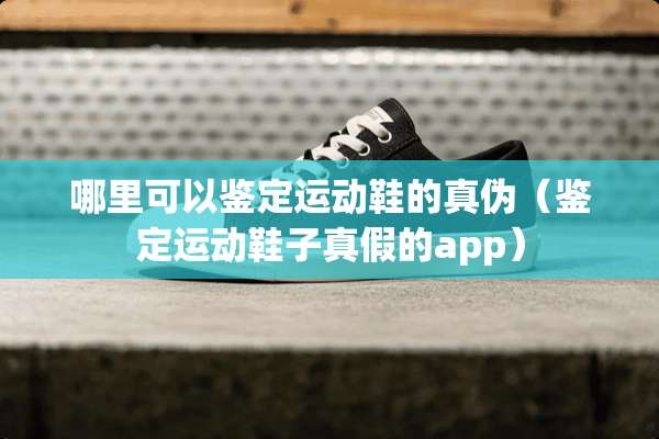 哪里可以鉴定运动鞋的真伪（鉴定运动鞋子真假的app）