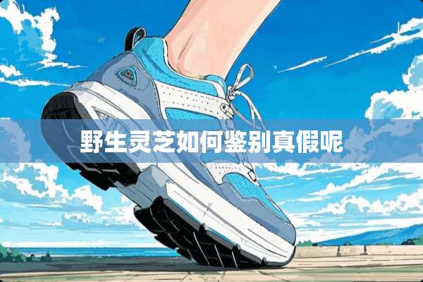 野生灵芝如何鉴别真假呢
