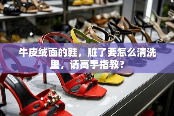 牛皮绒面的鞋，脏了要怎么清洗里，请高手指教？