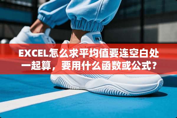 EXCEL怎么求平均值要连空白处一起算，要用什么函数或公式？