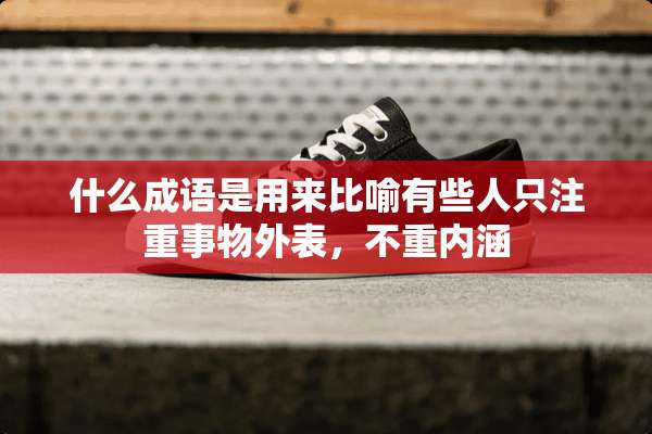 什么成语是用来比喻有些人只注重事物外表，不重内涵